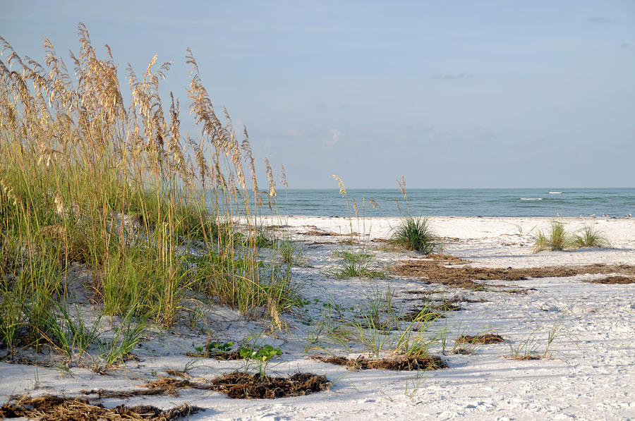Florida Beach 2 Photograph by Geraldine Alexander