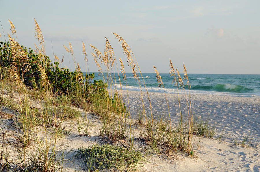 Florida Beach Photograph by Geraldine Alexander