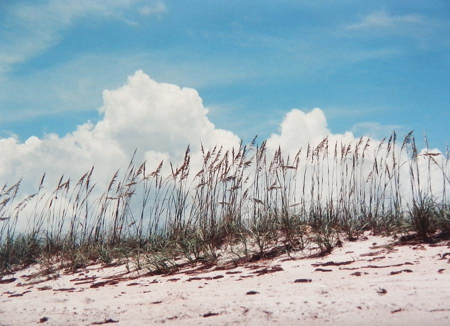 Florida Beach Scene Photograph by Belinda Lee