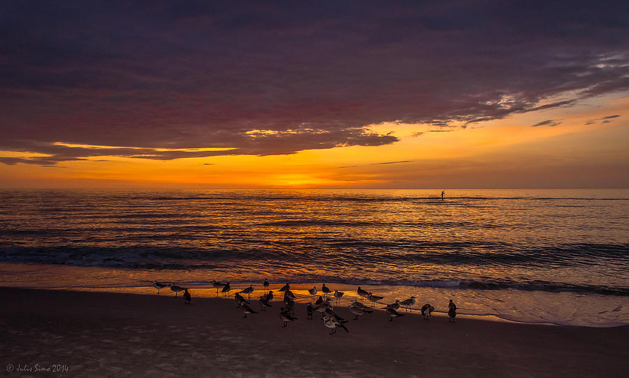 Florida Beach Sunset With Birds Photograph