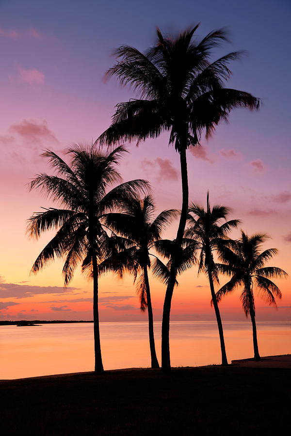 Sunset Photograph - Florida Breeze by Chad Dutson