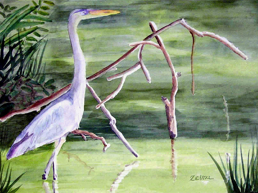 Crane Painting - Florida Crane by Zelma Hensel
