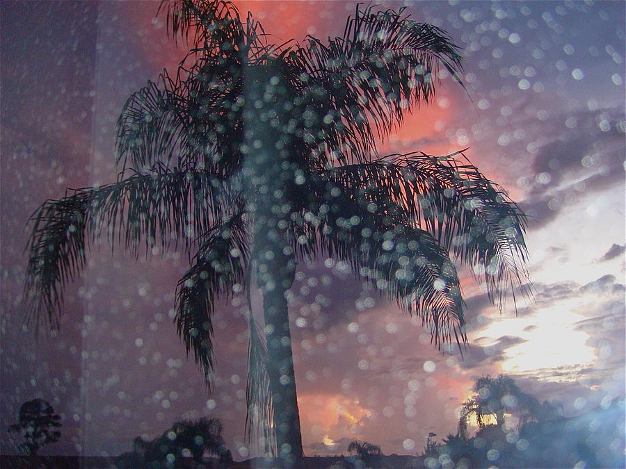 Florida Everglades Rainy Sunset Photograph by Robert Birkenes