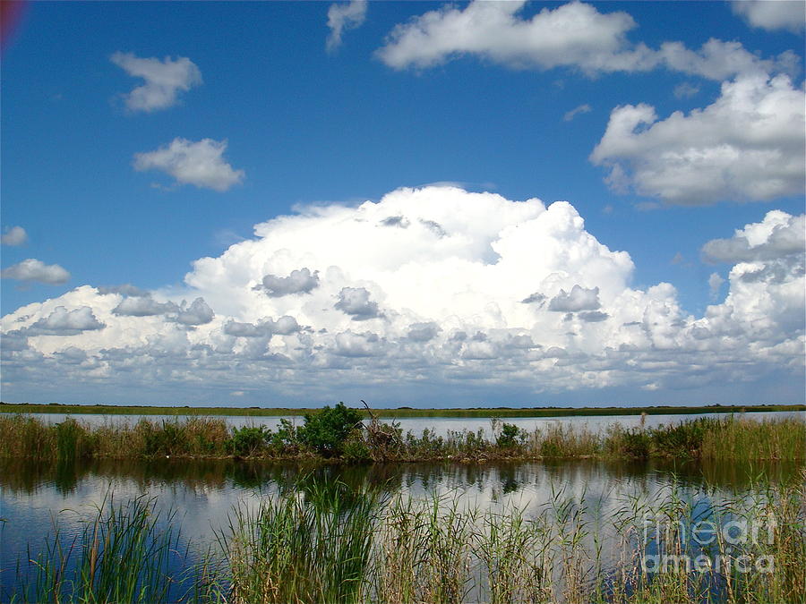 Florida Everglades  Photograph by Robert Birkenes