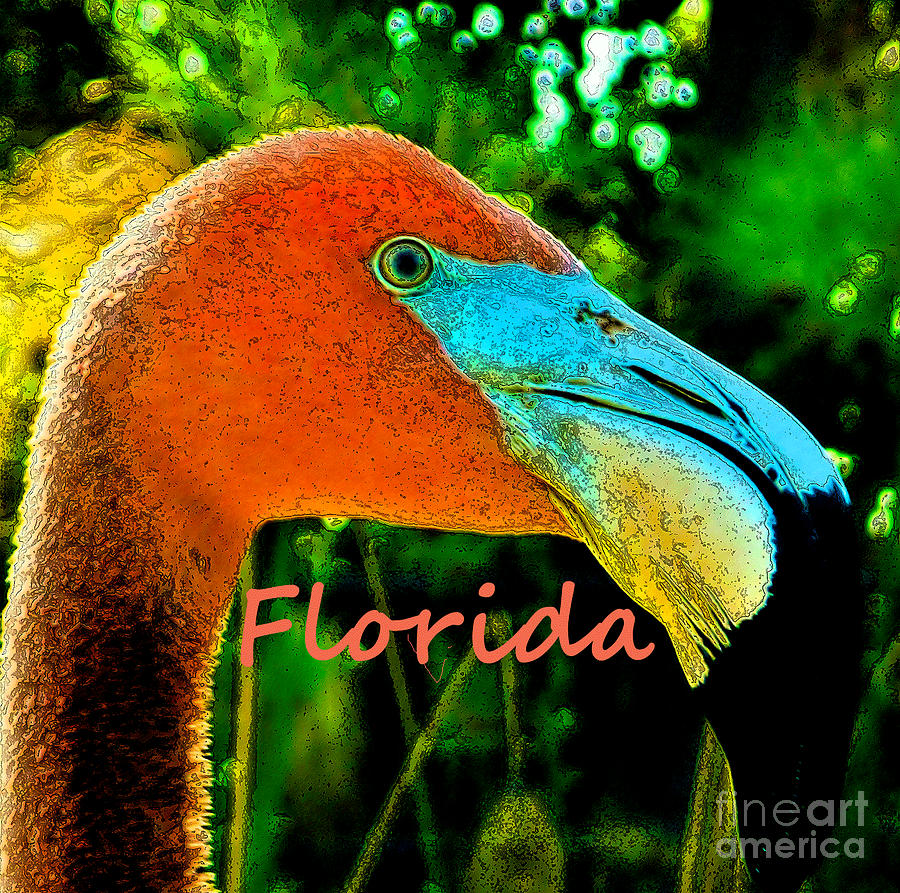 Flamingo Photograph - Florida Flamingo by Brigitte Emme