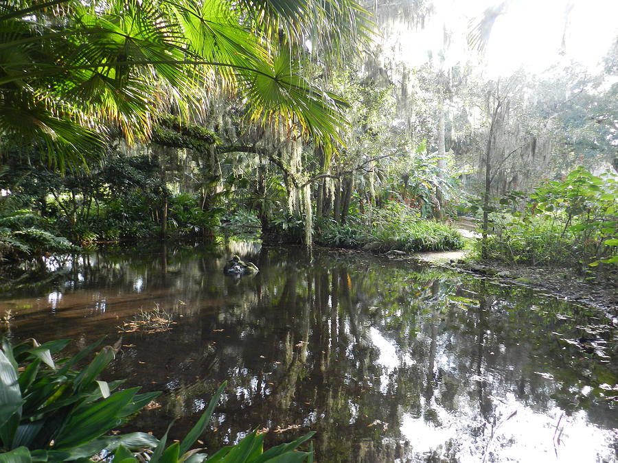 Florida Garden Pond Photograph by Deborah Ferree