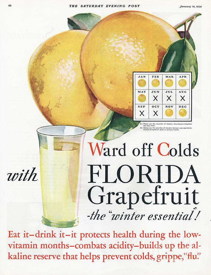 Adverts Drawing - Florida  Grapefruit 1920s Usa Colds Flu by The Advertising Archives