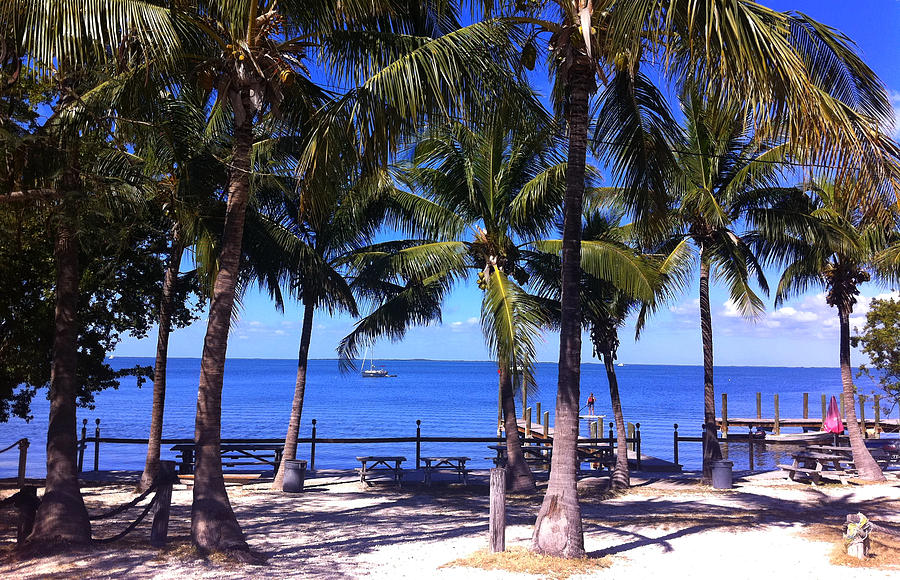 Paradise Photograph - Florida Keys by Tropigallery -