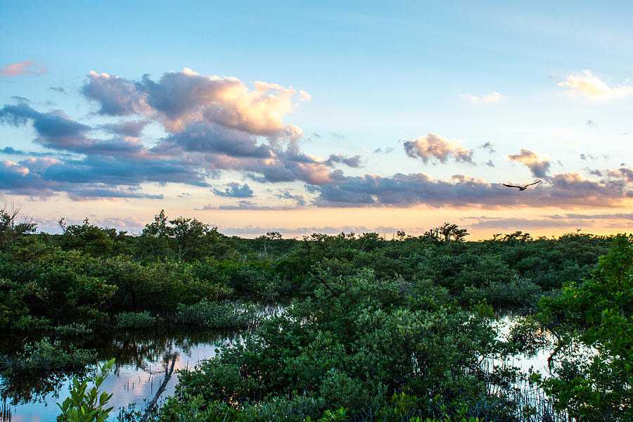 Sunset Photograph - Florida Keys by Manuel Lopez