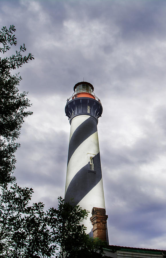 Tree Photograph - Florida Lighthouse by Judy Hall-Folde