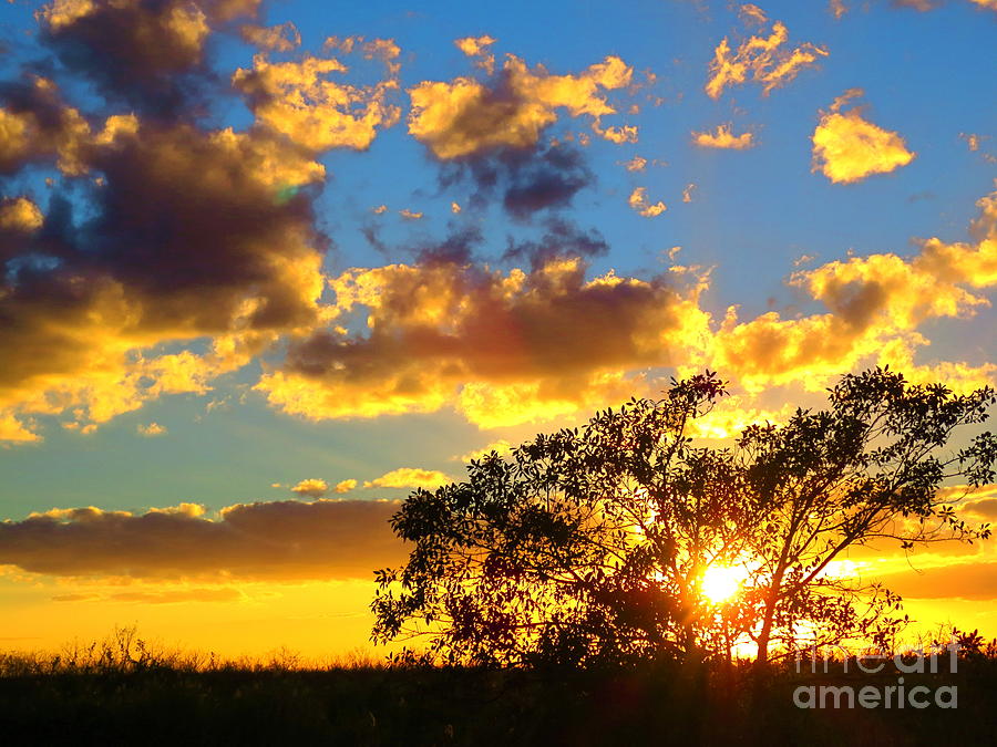 Florida. Loxahatchee Landscape at Sunset 2. Photograph by Robert Birkenes