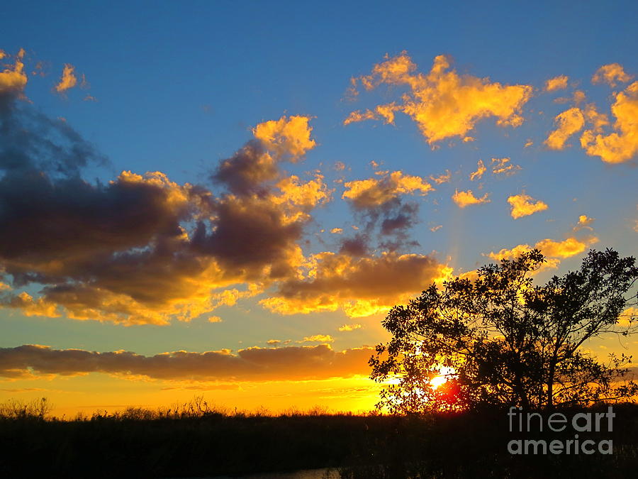 Florida. Loxahatchee Landscape at Sunset 4. Photograph by Robert Birkenes