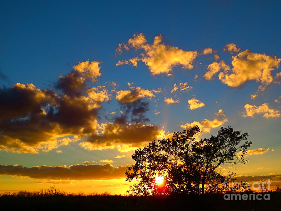Florida. Loxahatchee Landscape at Sunset 5. Photograph by Robert Birkenes