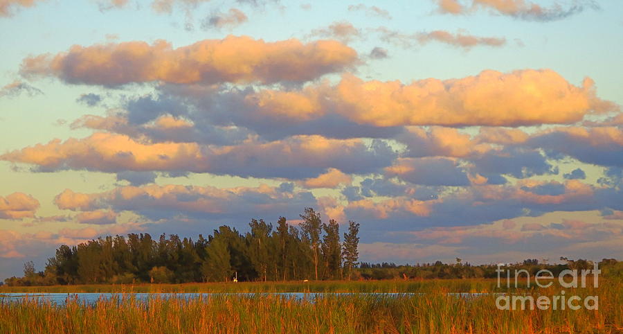 Florida. Loxahatchee Landscape at Sunset. Photograph by Robert Birkenes