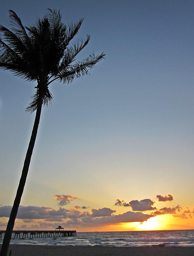 Florida Morning Photograph by MTBobbins Photography - Fine Art America