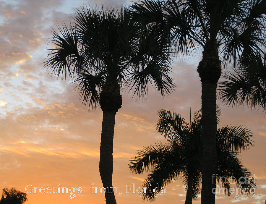 Florida Morning Sky Photograph by Oksana Semenchenko