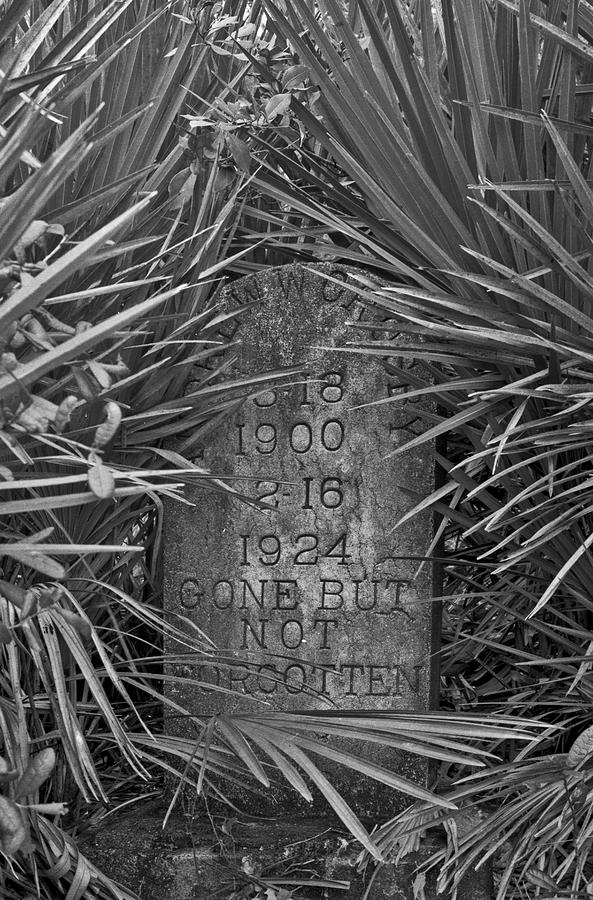 Florida Pioneer Tombstone Photograph by Chris  Kusik