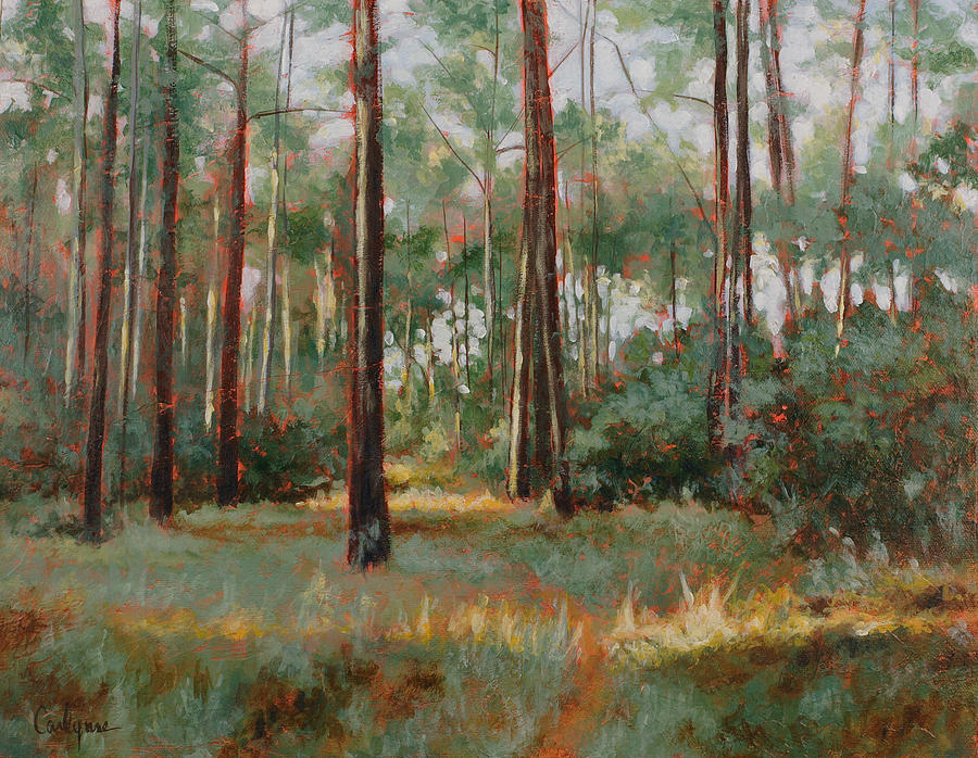 Tree Painting - Florida Prairie by Carlynne Hershberger