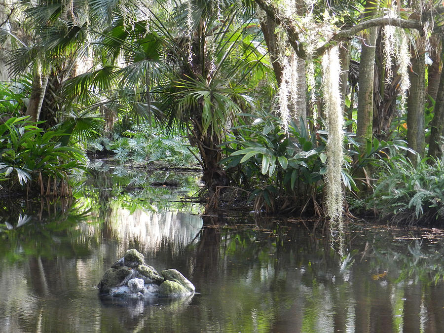 Florida Reflection Photograph by Deborah Ferree