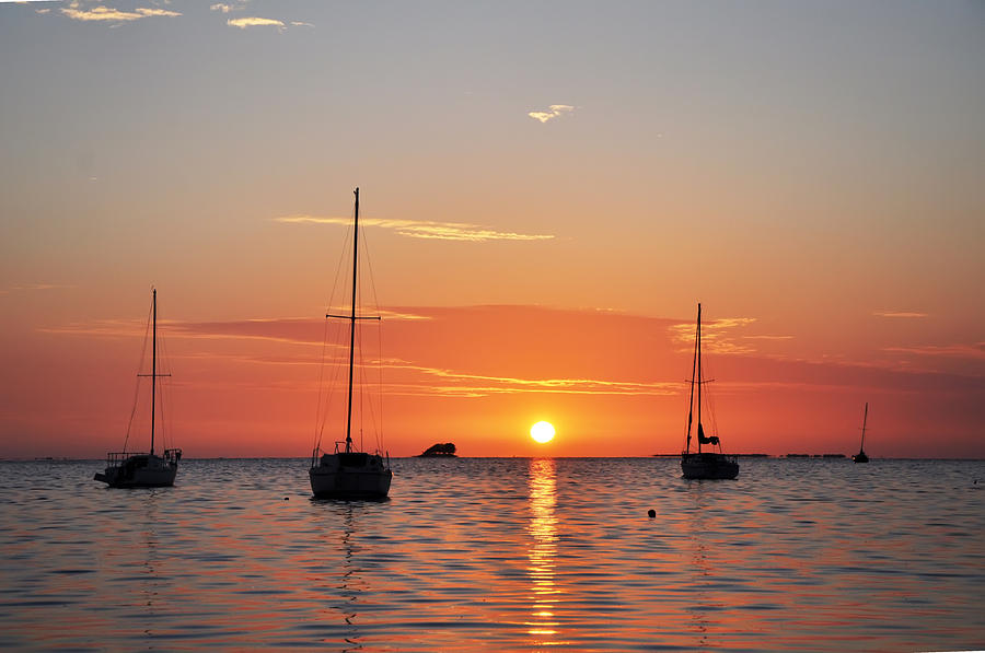 Sunset Photograph - Florida Sailboat Sunset by Bill Cannon
