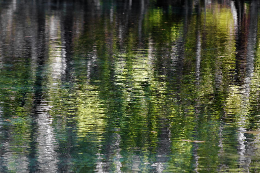 Spring Photograph - Florida Silver Springs River by Alexandra Till