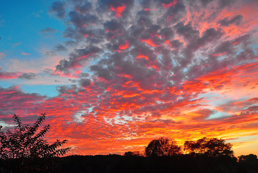 Florida spring sunset Photograph by Deborah Good - Fine Art America