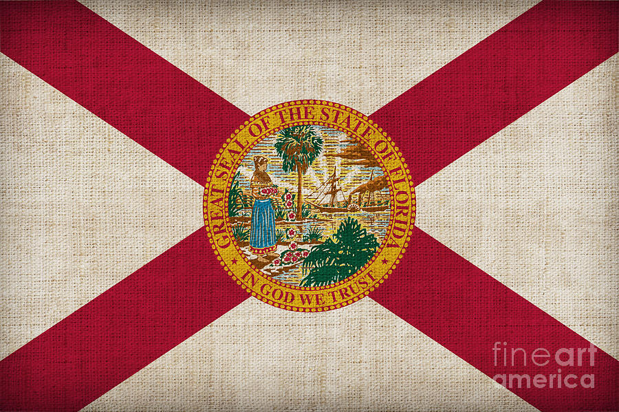 Flag Painting - Florida State Flag by Pixel Chimp