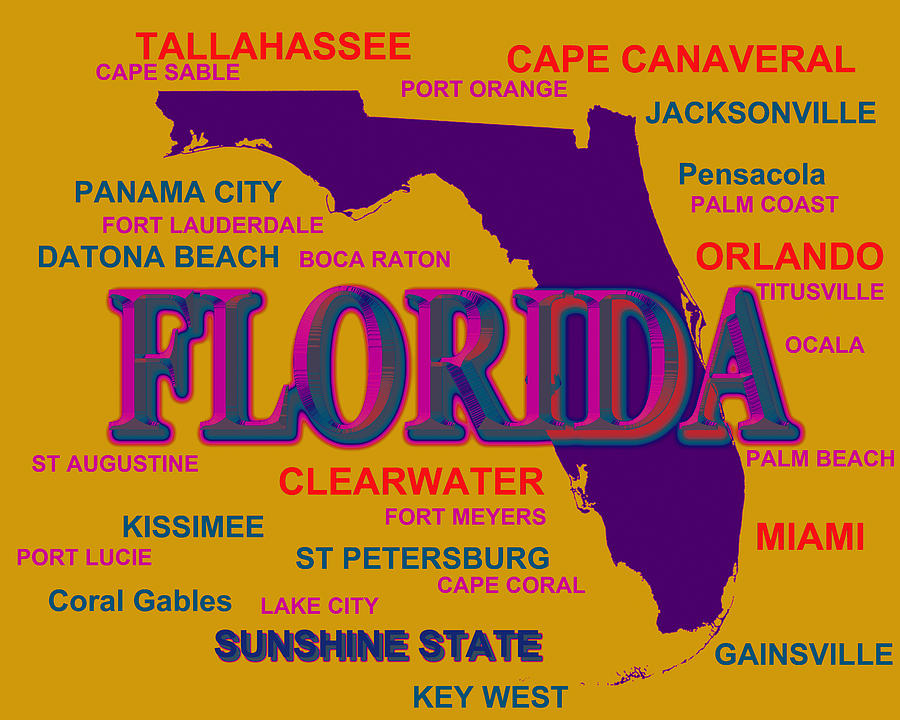 Florida State Pride Map Silhouette  Photograph by Keith Webber Jr