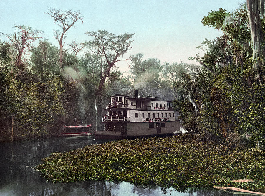 Florida Steamboat, C1902 Painting by Granger