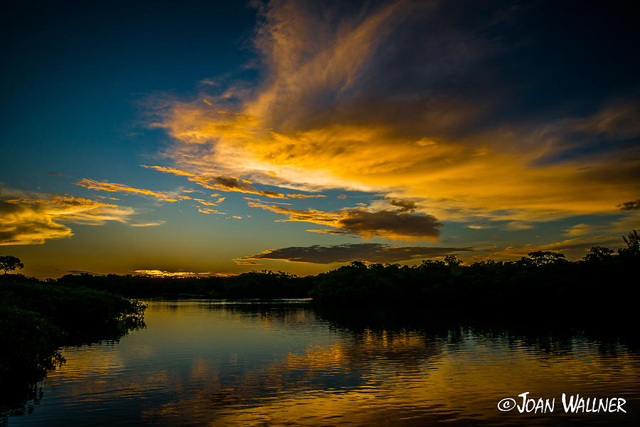 Florida Sunrise Photograph by Joan Wallner