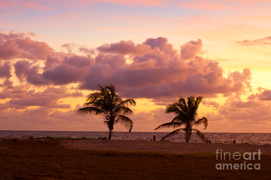 Florida Sunrise Photograph by Les Palenik