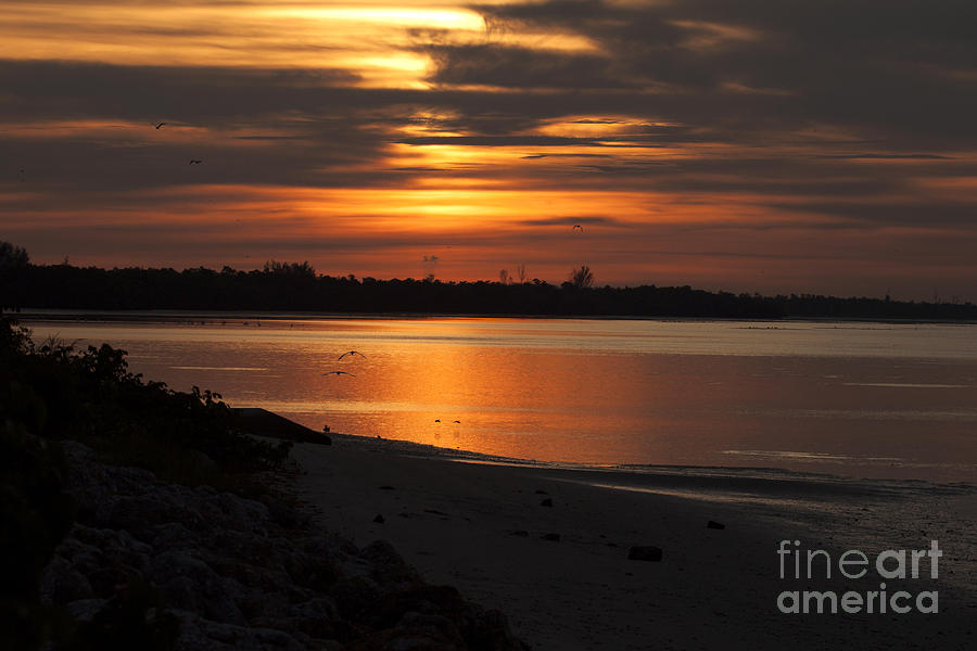 Sunset Photograph - Florida Sunrise by Meg Rousher