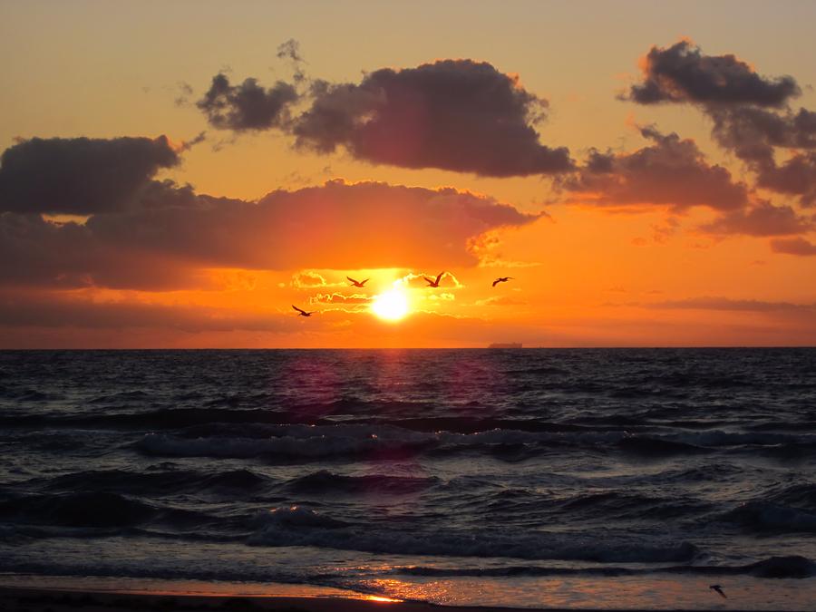 Florida Sunrise Photograph by MTBobbins Photography
