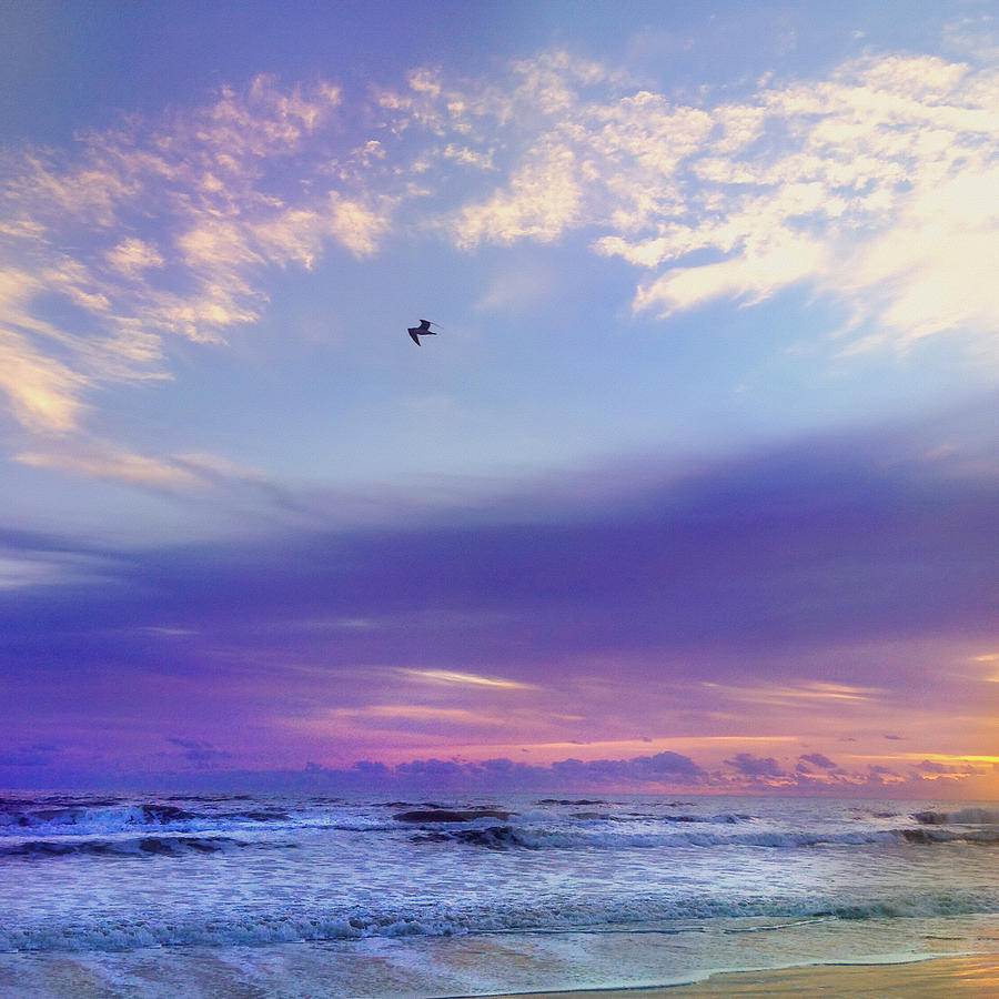Florida Sunrise - New Smyrna Beach Photograph by Joann Vitali