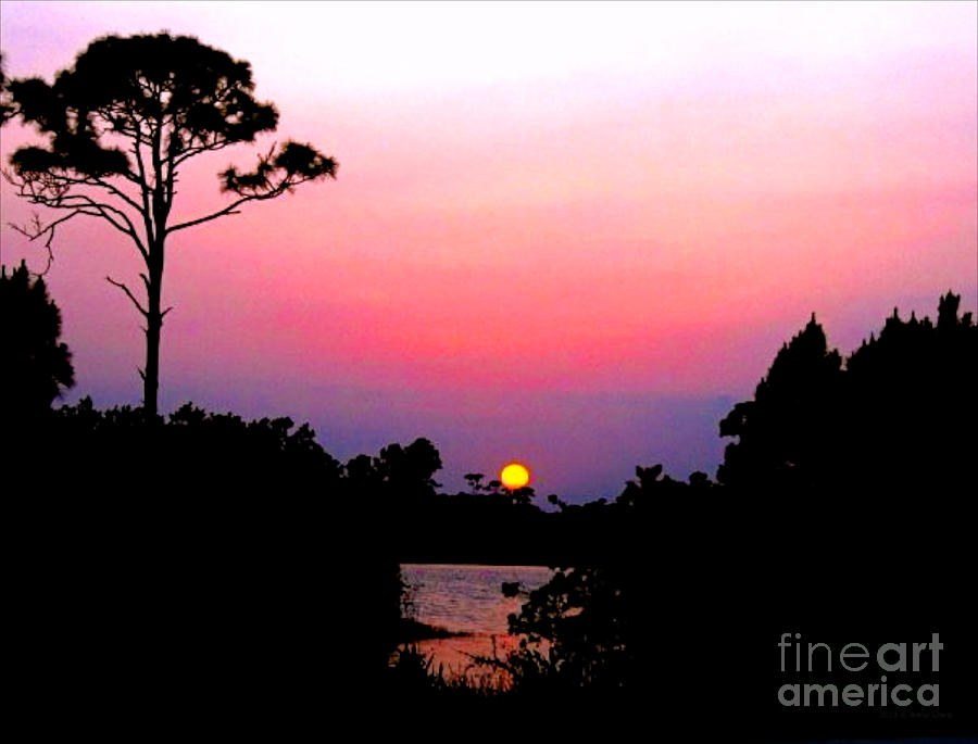 Florida Sunset Photograph by Anita Lewis
