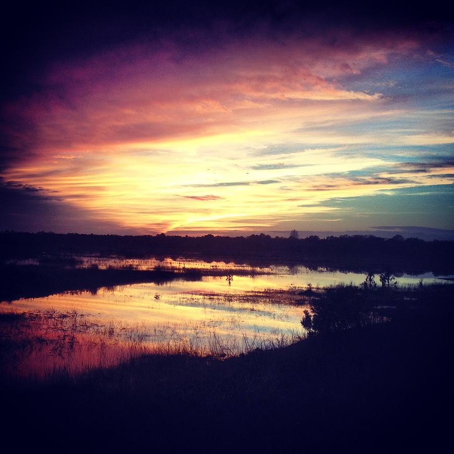 Nature Photograph - Florida Sunset by Ashley McDonald