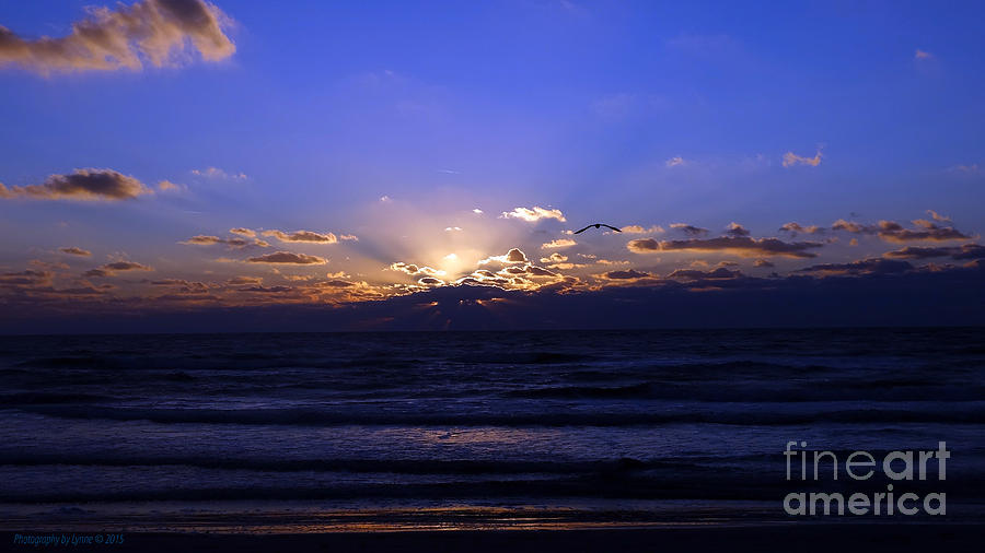 Beach Sunset Photograph - Florida Sunset Beyond the Ocean  II by Gena Weiser