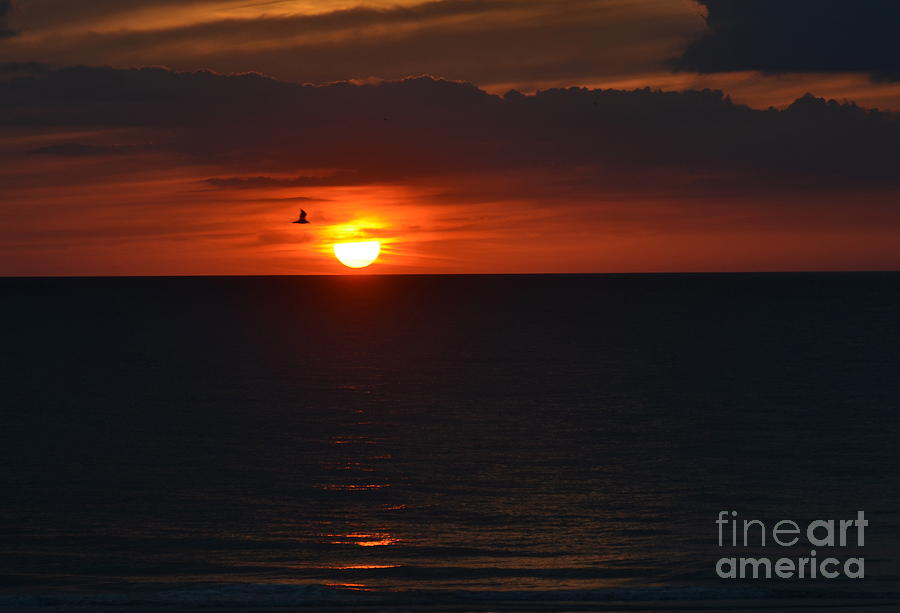 Florida Sunset Photograph by Debbi Granruth