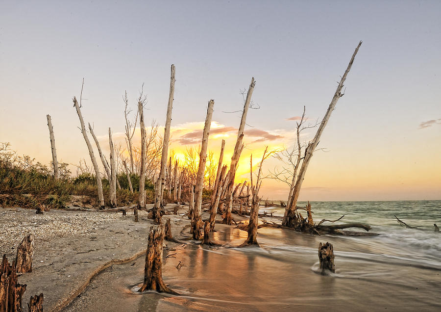 Florida sunset Photograph by Gouzel -