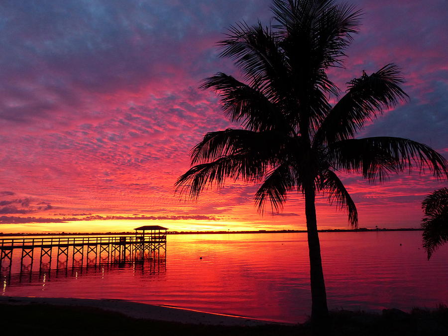 Florida Sunset II Photograph by Elaine Franklin