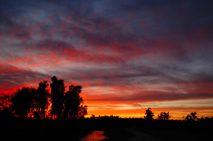 Florida Sunset Photograph by John W. Bova