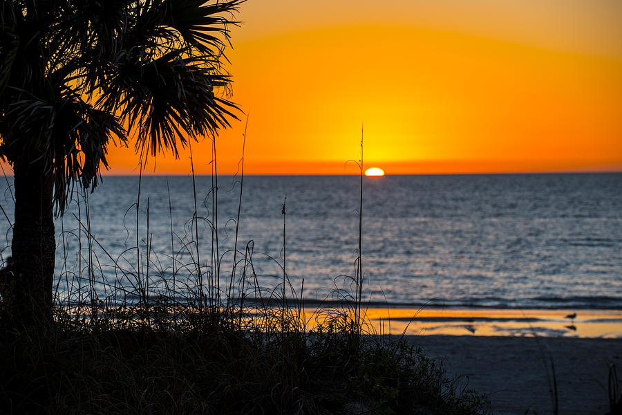 Florida Sunset Photograph by Kevin Cable
