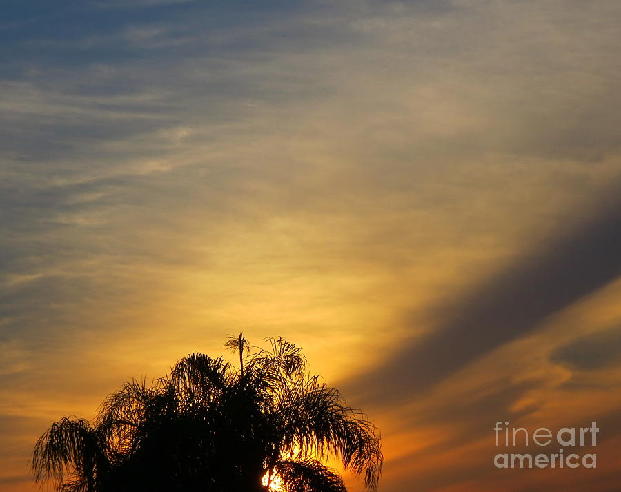 Florida Sunset lll. Photograph by Robert Birkenes