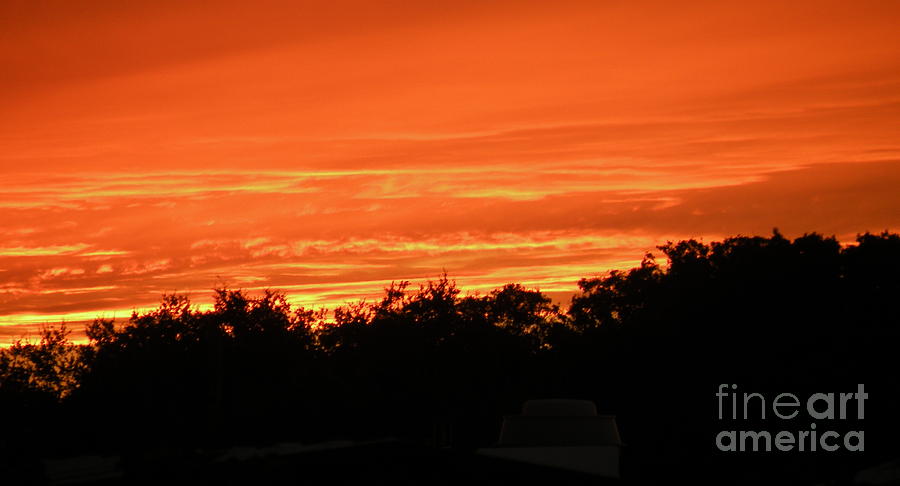 Florida Sunset Photograph by Lora Duguay