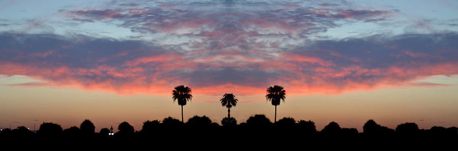 Sunset Photograph - Florida Sunset Panorama by Bill Cannon