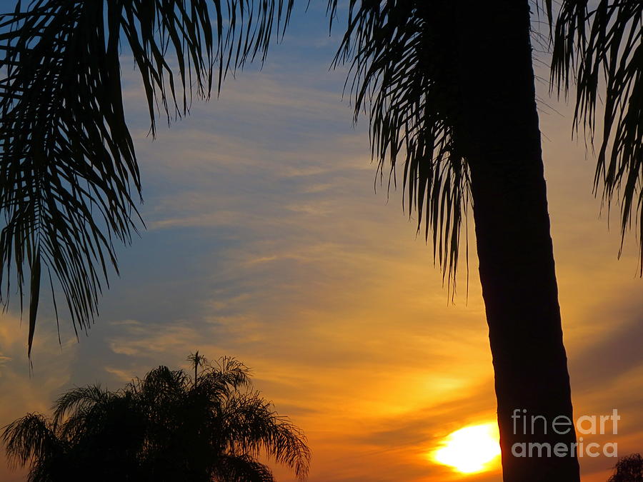 Florida Sunset. Photograph by Robert Birkenes