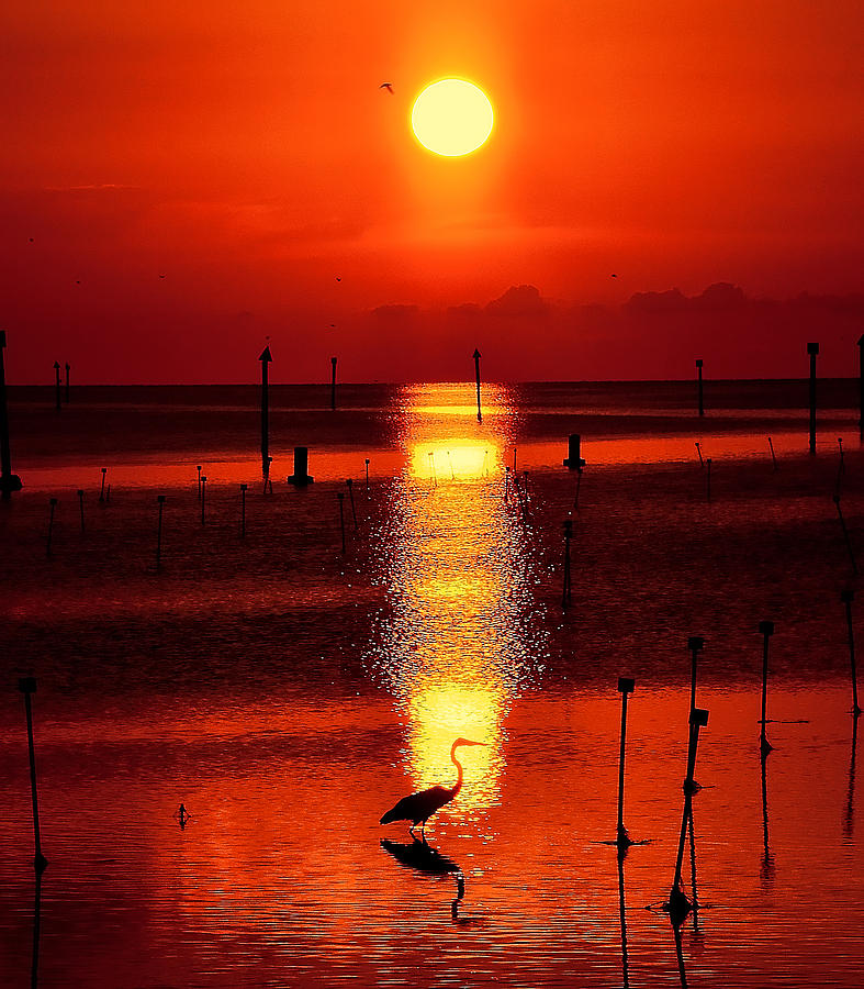 Florida Sunset Photograph by Stuart Harrison