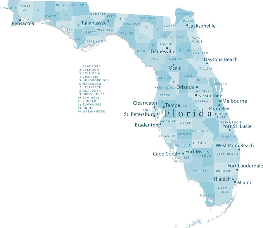 Florida Vector Map Regions Isolated Drawing by FrankRamspott