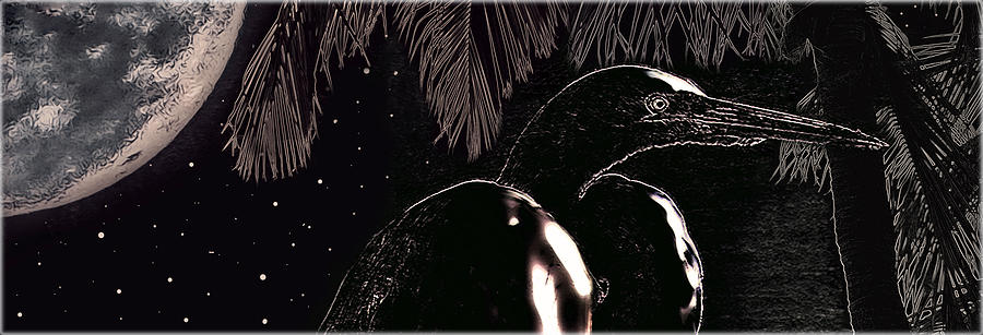 Egret Digital Art - Floridian starry Night by Hanny Heim