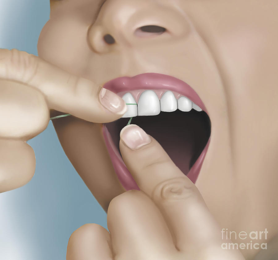 Illustration Digital Art - Flossing Between Front Teeth by TriFocal Communications